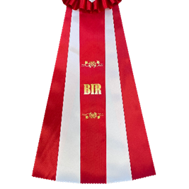 test vandret tekstretning 2