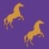 Heste Guld regal purple - +4,00 DKK (+5,00 DKK Inkl. moms)