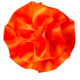 Torrid orange